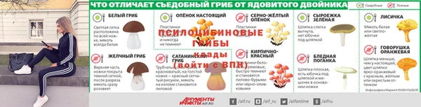 стафф Пестово
