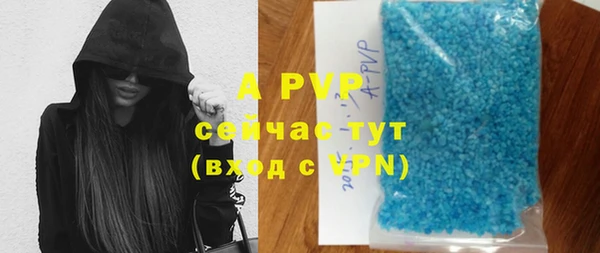 стафф Пестово