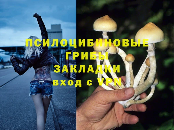 сатива Осинники