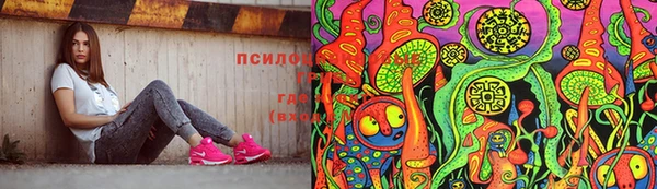 apvp Пересвет