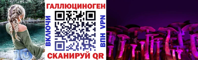 Галлюциногенные грибы GOLDEN TEACHER  Купить где  Скопин 